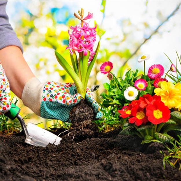 باغبانی بهشت زهرا | ساخت باغچه کنار مزار | آبیاری و نگهداری باغچه | کاشت گل و گیاه بهشت زهرا | کاشت درخت بهشت زهرا